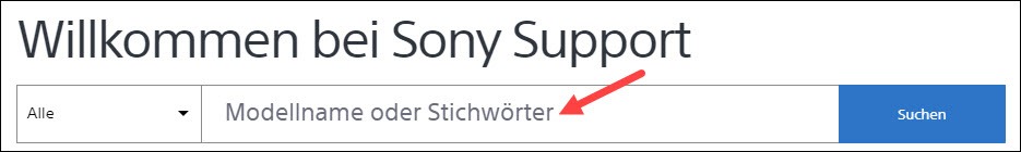 Sony VAIO Treiber automatisch installieren - Driver Easy German