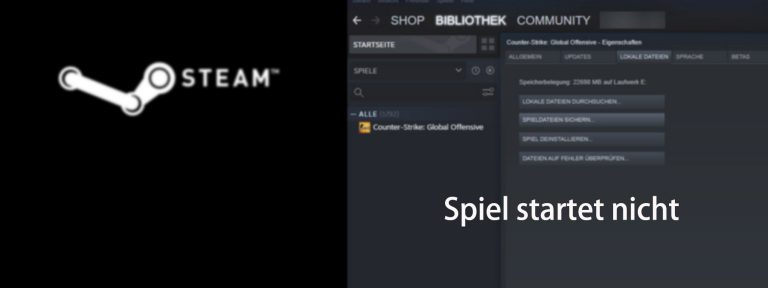 Steam Spiel Startet Und Schließt Sich Sofort [GELÖST] Steam Spiel startet nicht | 2025 Tipps - Driver Easy German